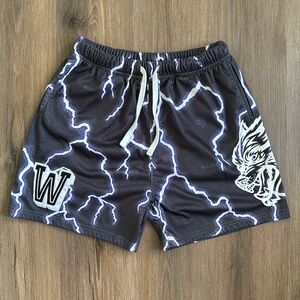 Darc Sport Lightning Mesh Shorts in Wolf Gray- Medium